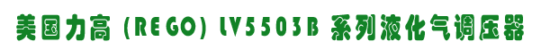  (REGO) LV5503B ϵҺ{(dio)